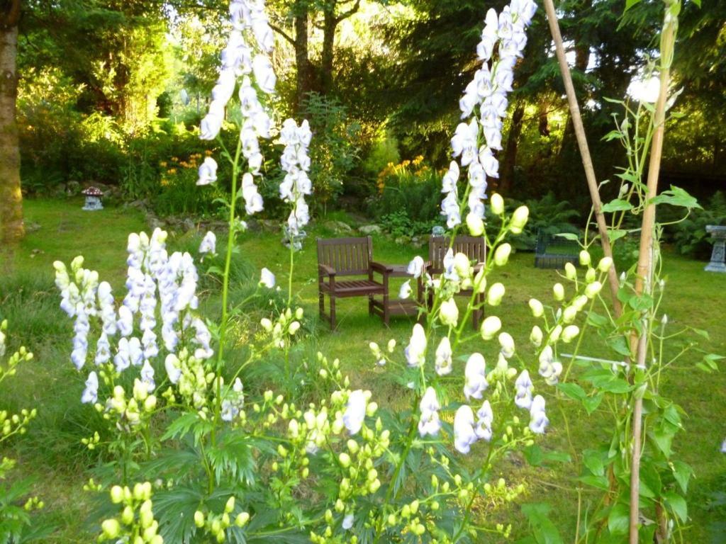 Kettle House B&B Fort Augustus Dış mekan fotoğraf