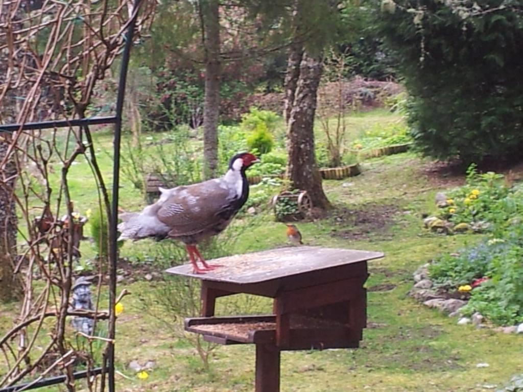 Kettle House B&B Fort Augustus Dış mekan fotoğraf